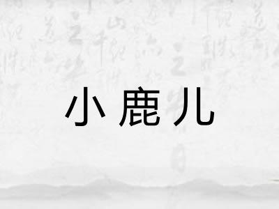 小鹿儿