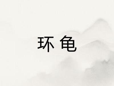 环龟