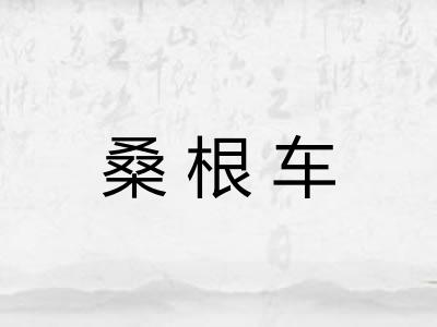 桑根车