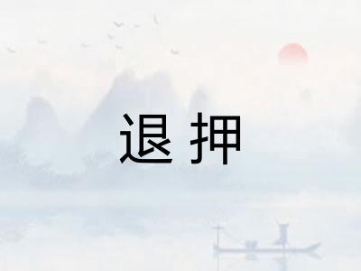 退押