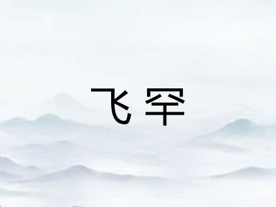 飞罕