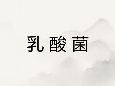 乳酸菌