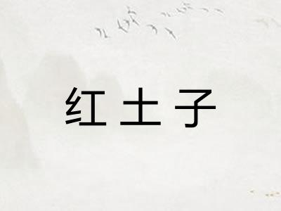 红土子