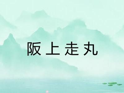 阪上走丸