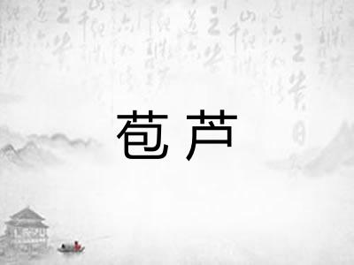 苞芦