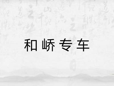 和峤专车
