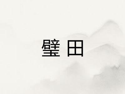 璧田