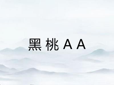 黑桃AA