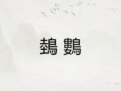 鵱鷜