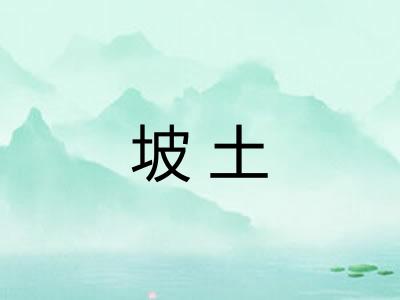 坡土