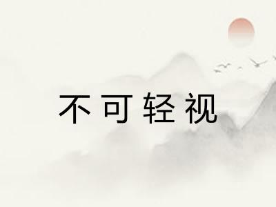 不可轻视