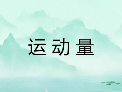 运动量