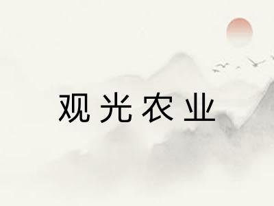 观光农业