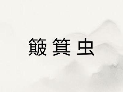 簸箕虫