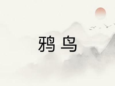 鸦鸟