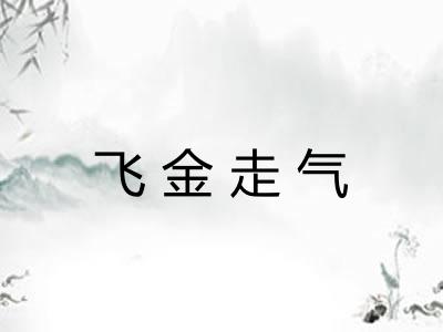 飞金走气