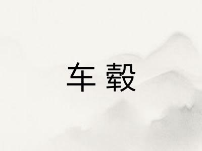 车毂