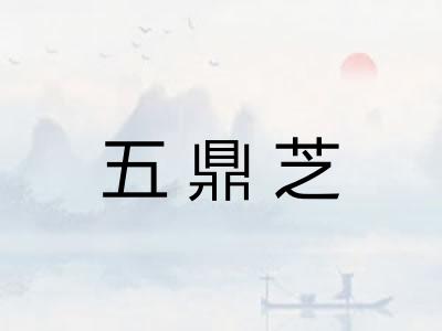五鼎芝