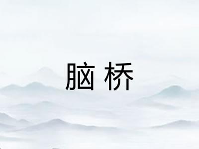 脑桥