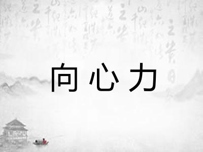 向心力