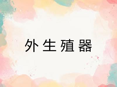 外生殖器