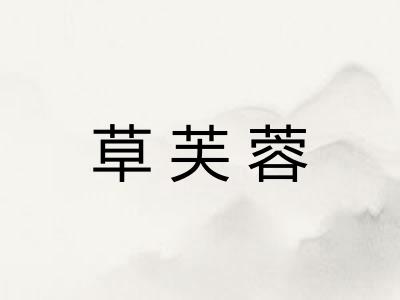 草芙蓉
