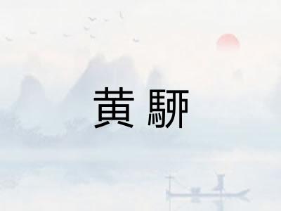 黄駵