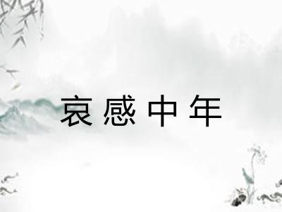 哀感中年