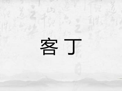 客丁