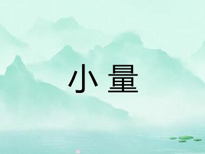 小量