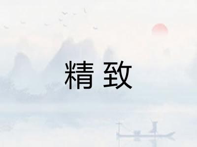 精致
