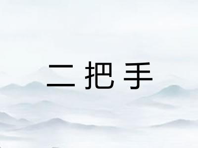 二把手