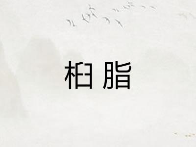 桕脂