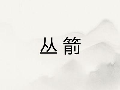 丛箭