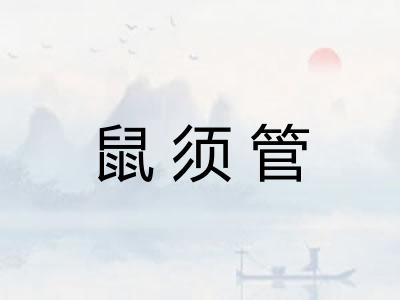 鼠须管