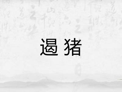 遏猪