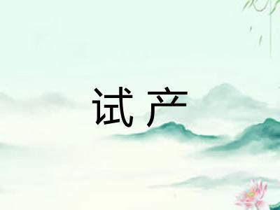 试产