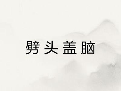 劈头盖脑