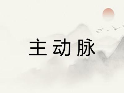 主动脉