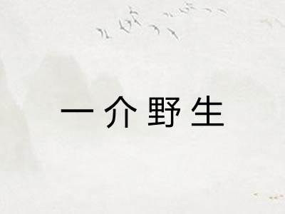 一介野生