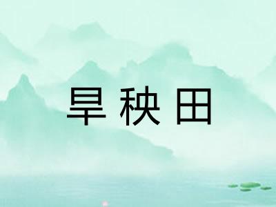 旱秧田