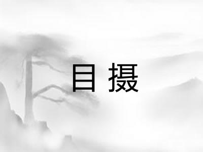 目摄