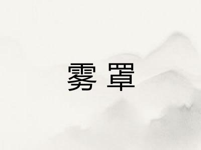 雾罩