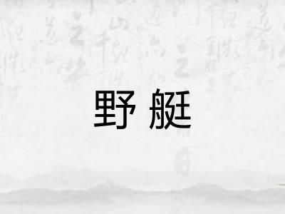野艇