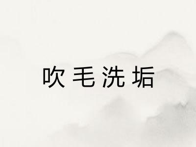吹毛洗垢