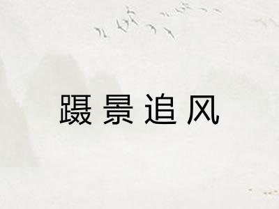 蹑景追风