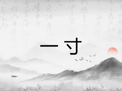 一寸