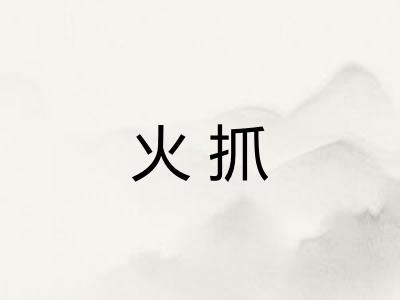 火抓
