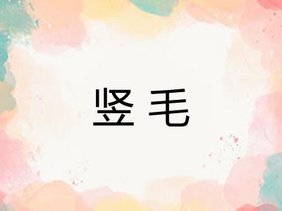 竖毛