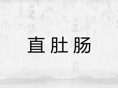 直肚肠
